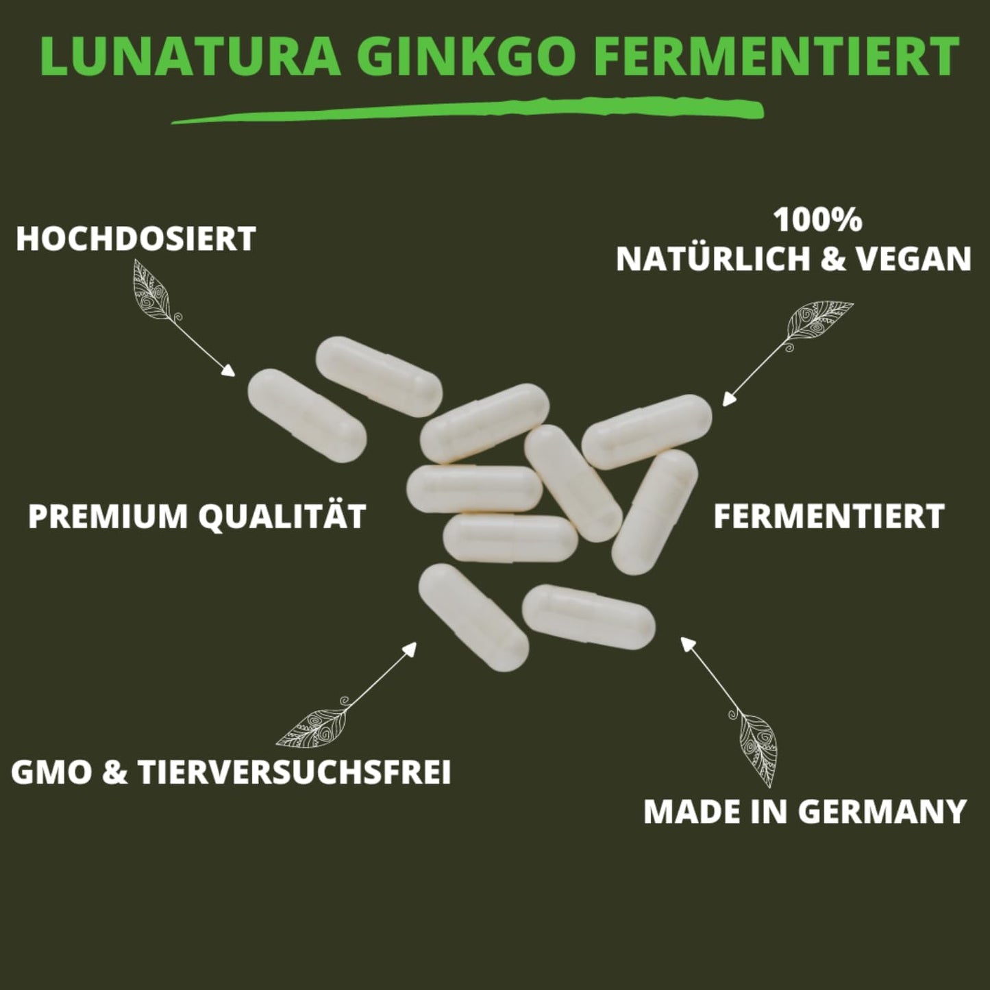 Lunatura Ginkgo fermentiert aus Ginkgonuss & Ginkgoblatt - 60 Kapseln