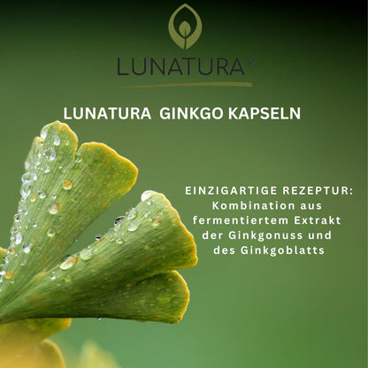 Lunatura Ginkgo fermentiert aus Ginkgonuss & Ginkgoblatt - 60 Kapseln