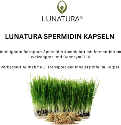 Lunatura Spermidin mit Q10 und fermentiertem Weizengras – 60 Kapseln