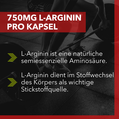 Sports Affinity Alpha Bull - L-Arginin + Zink + Pinienrindenextrakt - 80 Kapseln