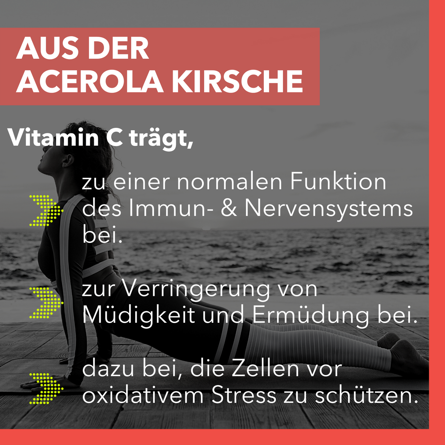 Sports Affinity Eisen mit natürlichem Vitamin C - 120 Tabletten